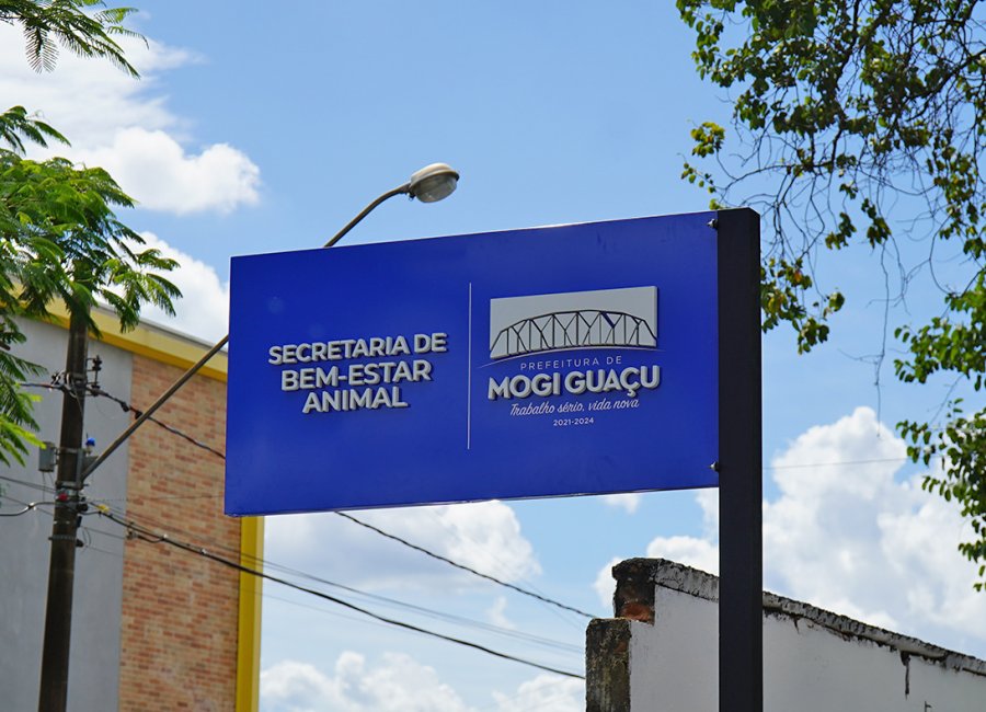 Secretaria de Bem-Estar Animal e CCZ identificam canil clandestino em Mogi Guaçu e local é fechado
