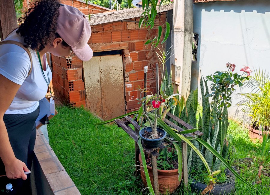 Mutirão contra a dengue atingirá 12 bairros e terá drive-thru para descarte de materiais