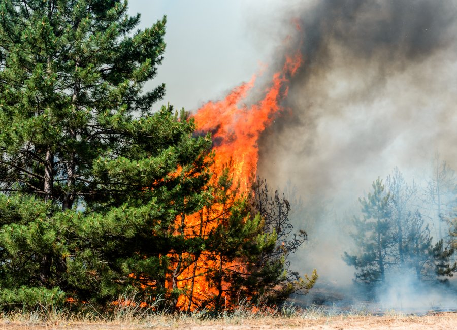 Operação Estiagem reforça prevenção de incêndios durante o período de estiagem