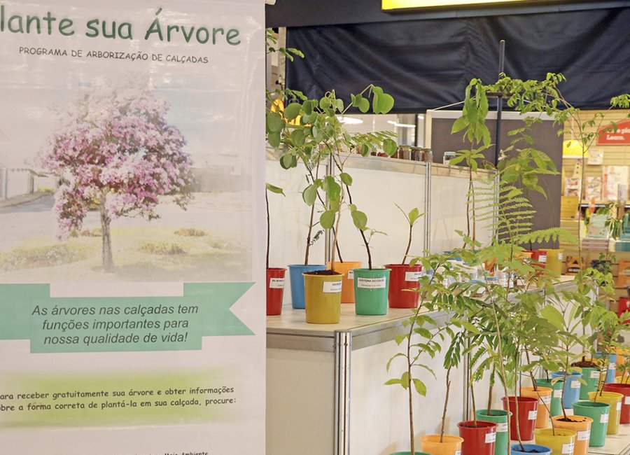 SAAMA promove exposição de mudas para incentivar arborização urbana em Mogi Guaçu