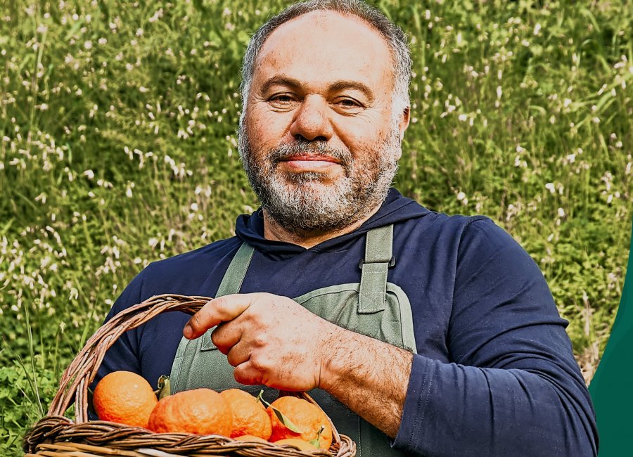 Produtores rurais têm até 31 março para entregar a DIPAM 2026