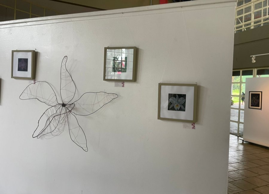 Emia vai abrir 200 vagas para oficinas artísticas a partir de 23 de março