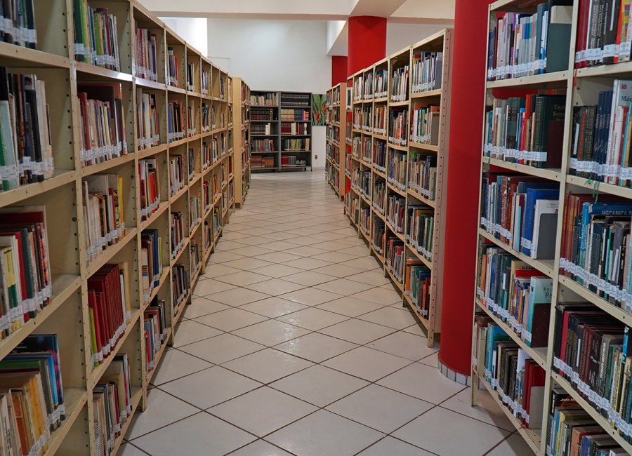 Biblioteca Municipal reabre hoje portas para atendimento ao público