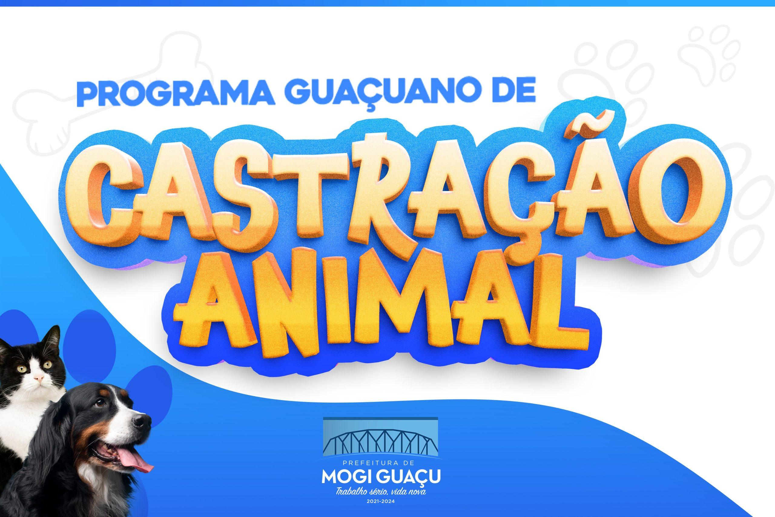 Prefeitura abre cadastro para programa de Castração Animal em Mogi Guaçu
