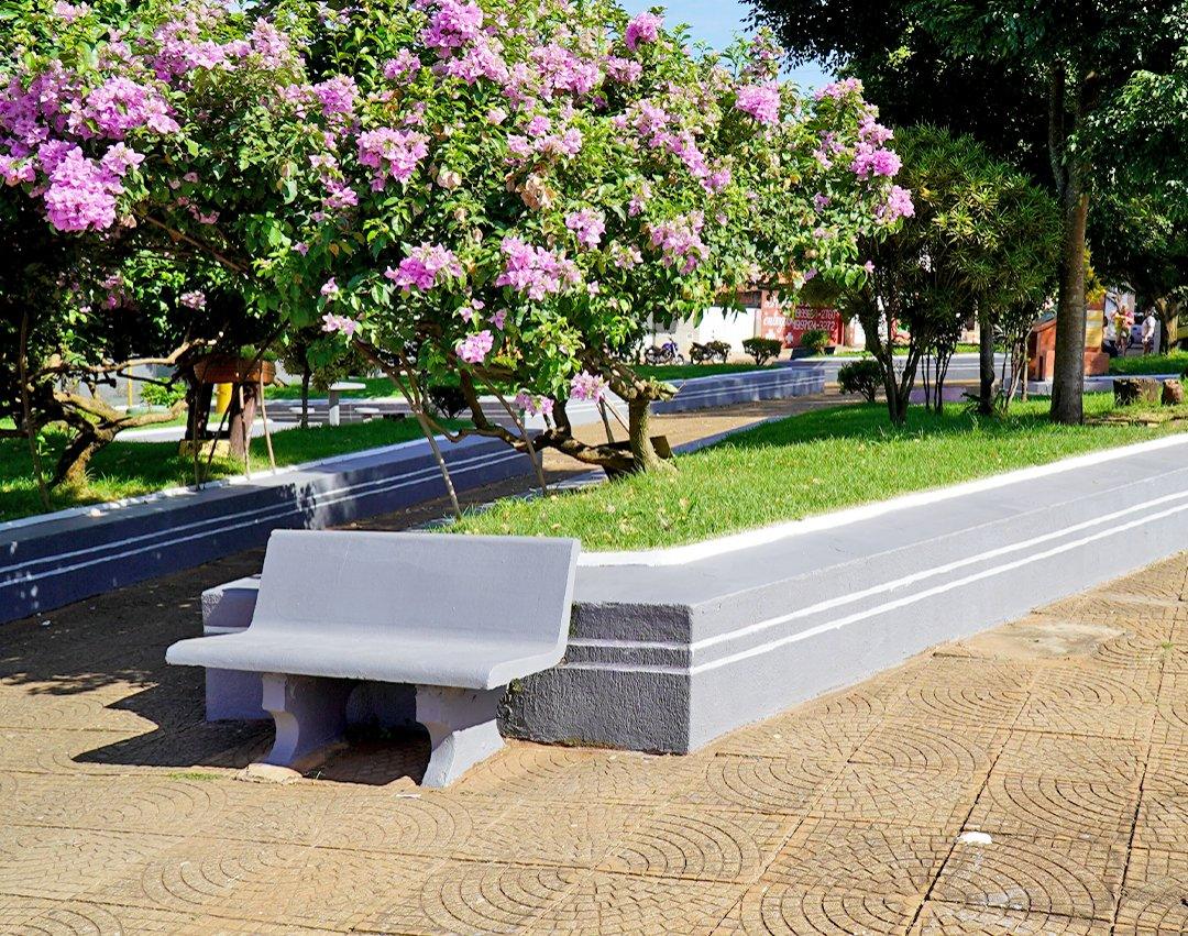 Distrito de Martinho Prado Júnior recebe serviços de zeladoria