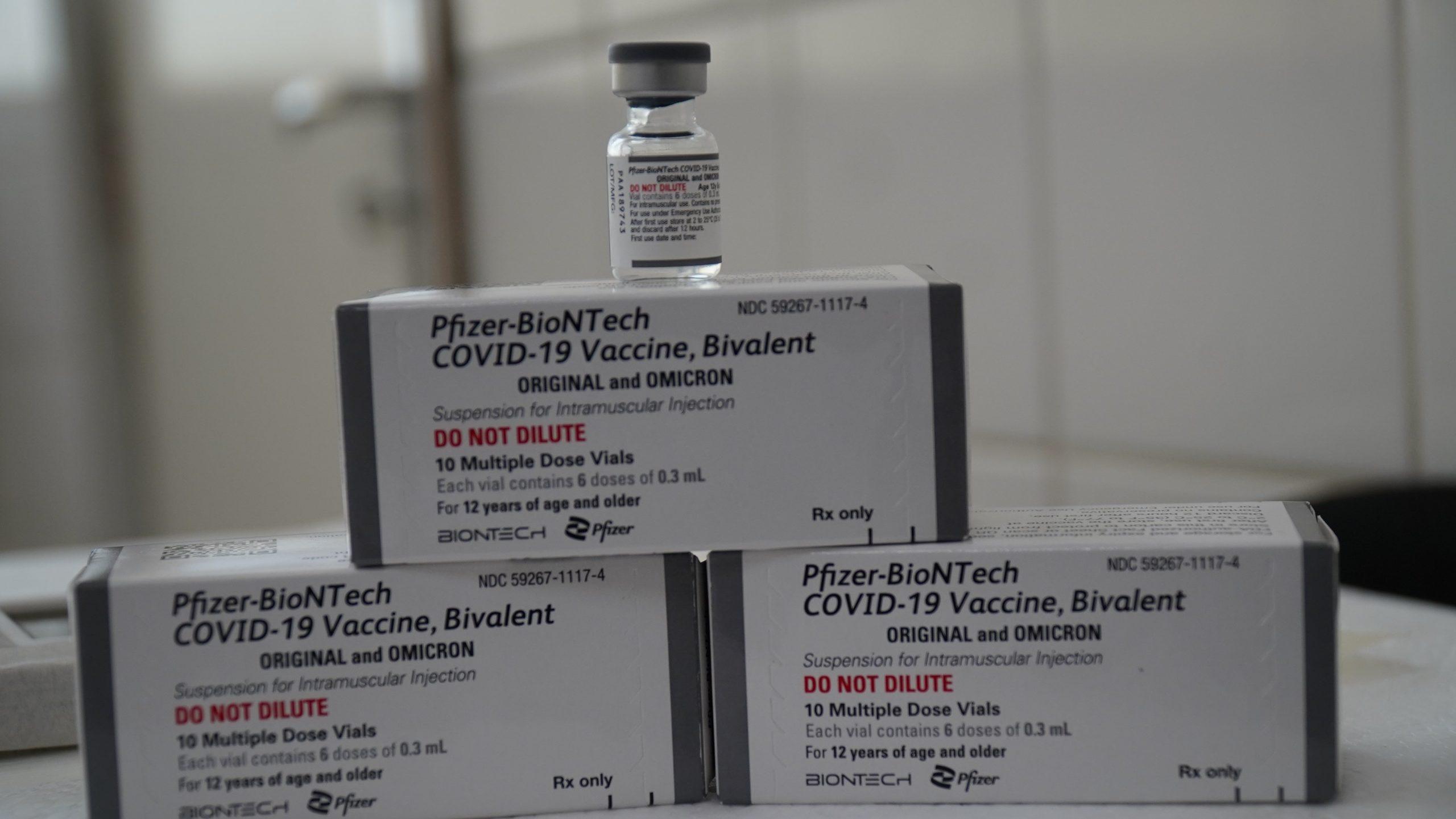 239 doses da Pfizer Bivalente são aplicadas no primeiro dia de imunização de idosos acima de 60 anos