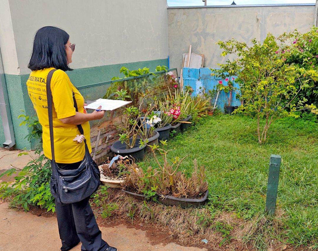 Proprietários de imóveis flagrados com criadouros da dengue podem ser multados