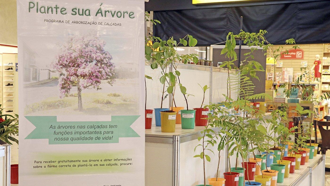 SAAMA promove exposição de mudas para incentivar arborização urbana em Mogi Guaçu