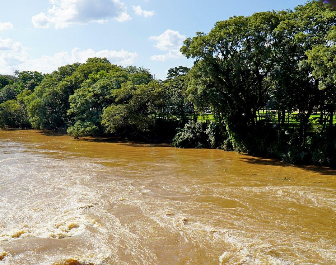 Cetesb concede licença para construção de píer no Parque dos Ingás