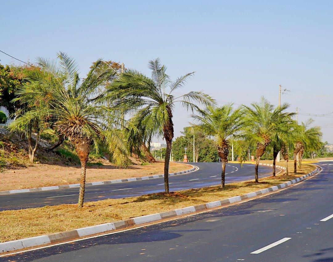 Novo paisagismo é feito na Avenida Luiz Gonzaga de Amoedo Campos