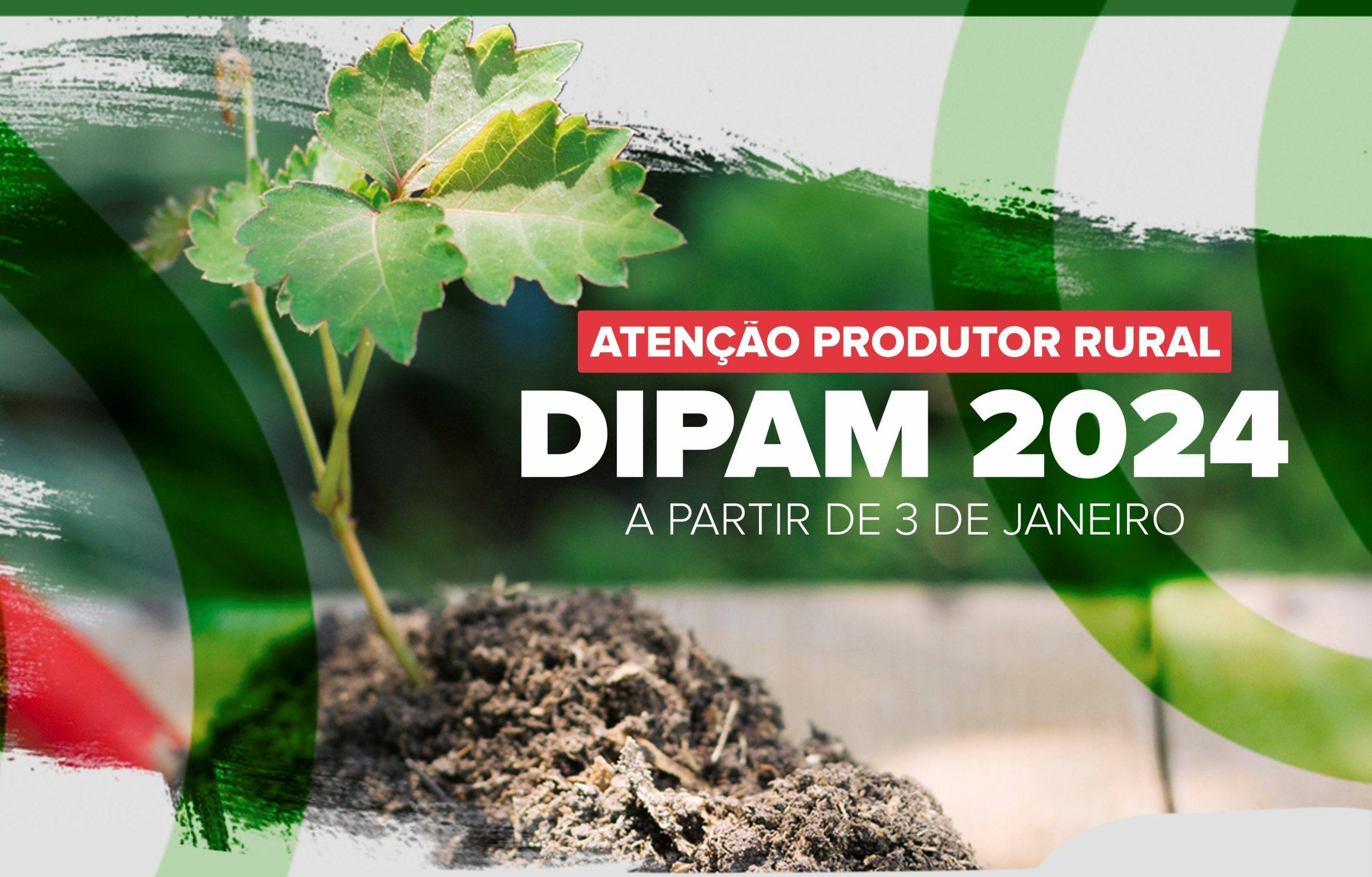 Produtores rurais iniciam a entrega da DIPAM a partir do dia 3 de janeiro